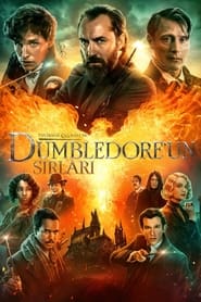Fantastik Canavarlar Dumbledore’un Sırları
