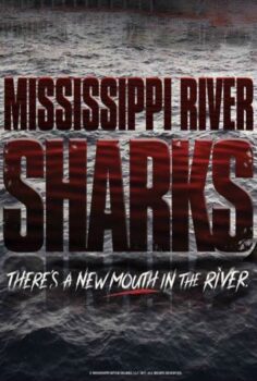 Mississippi Nehri Köpek Balıkları