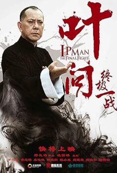 Ip Man: Son Dövüş