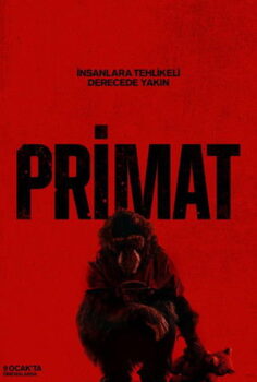 Primat